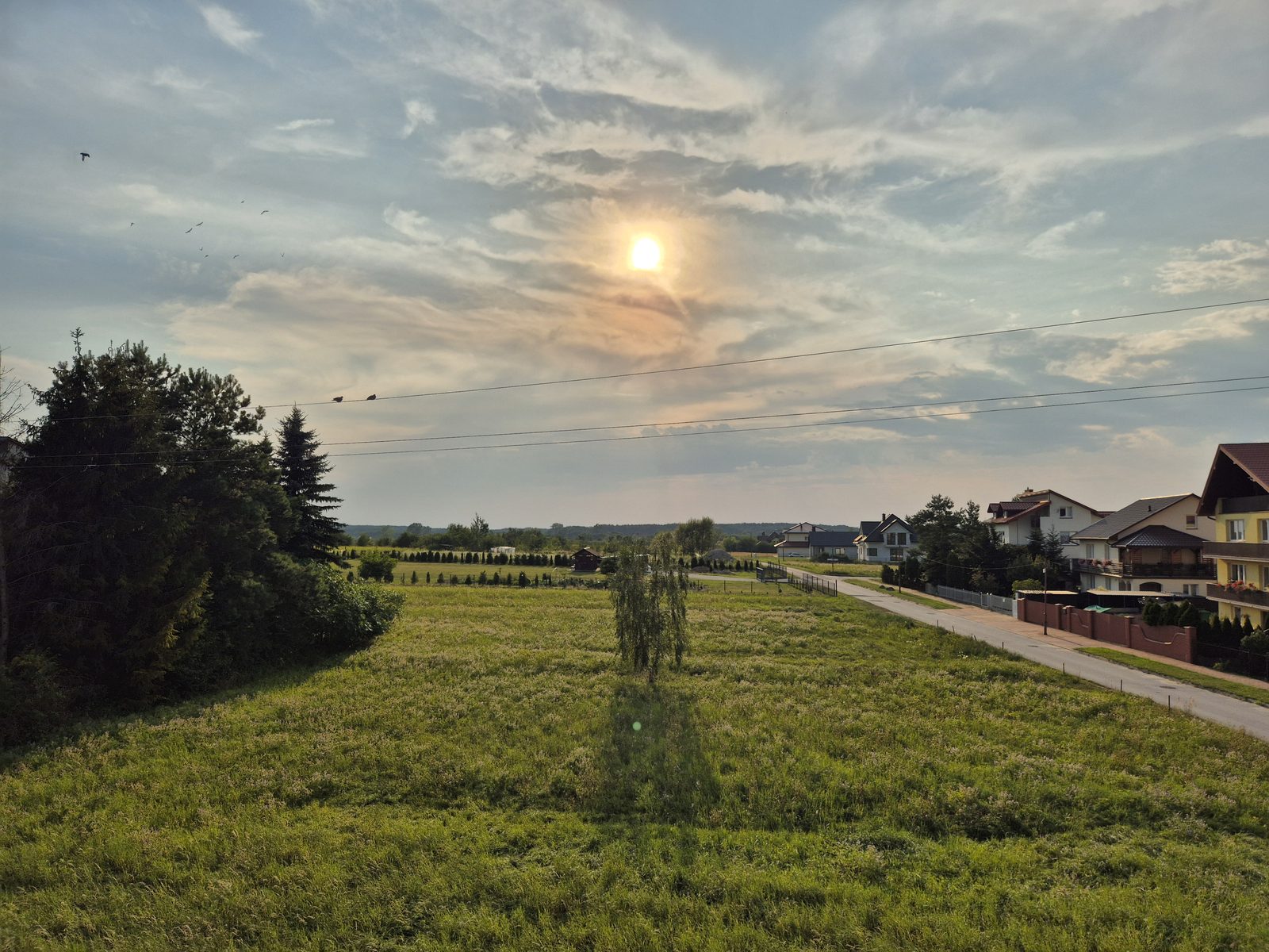 Widok z okolic domu na łąki i pola Ponidzia o zachodzie słońca.